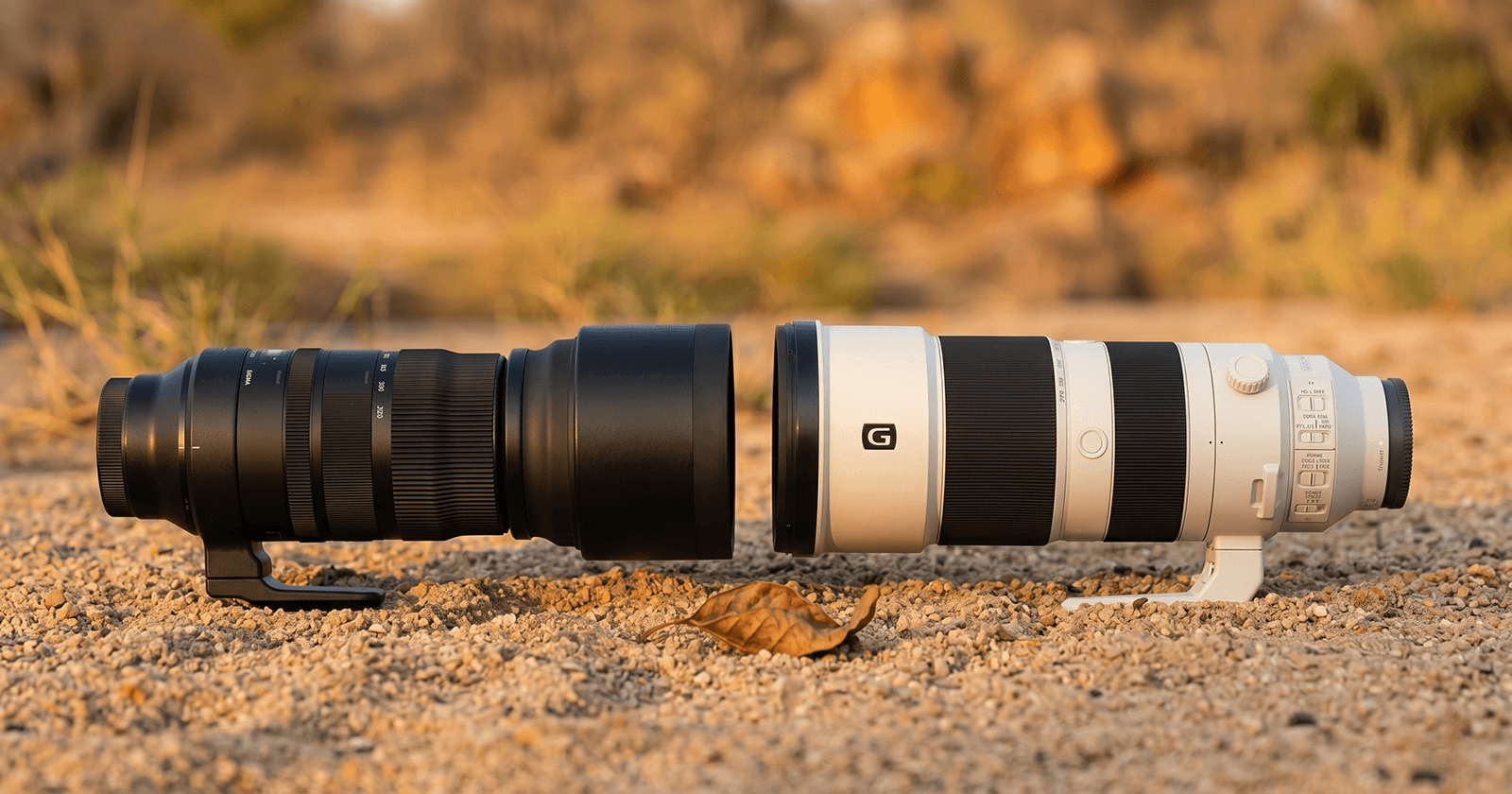 Sony FE 200-600mm vs Sigma 150-600mm Contemporary — Best Wildlife Photography Telephoto for African Safari