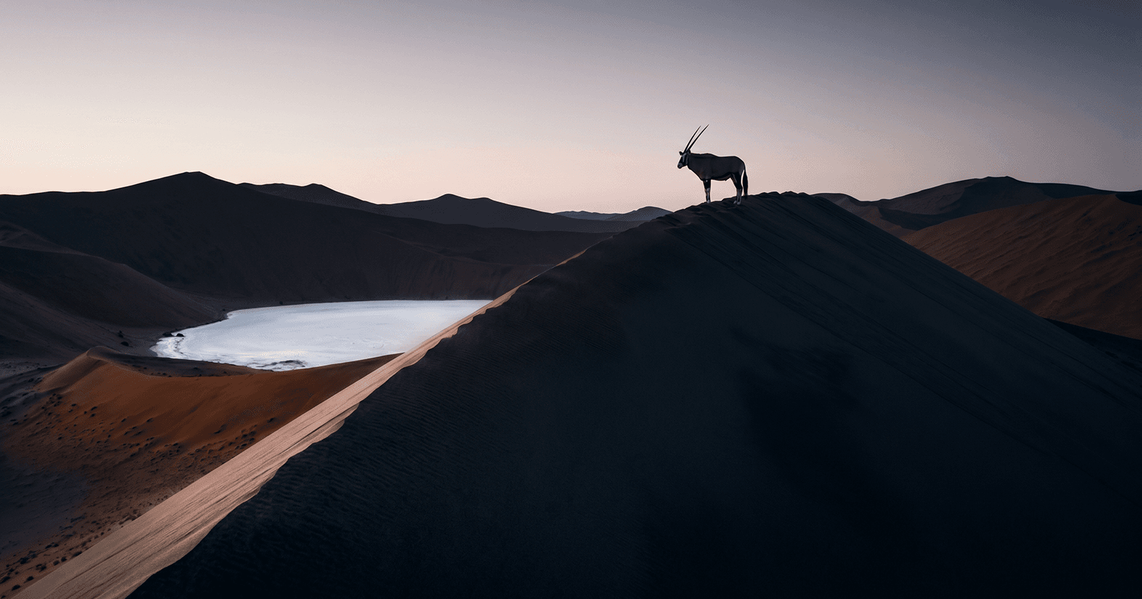 10-Day Namibia Must-See — Self-Drive Safari Field Intelligence