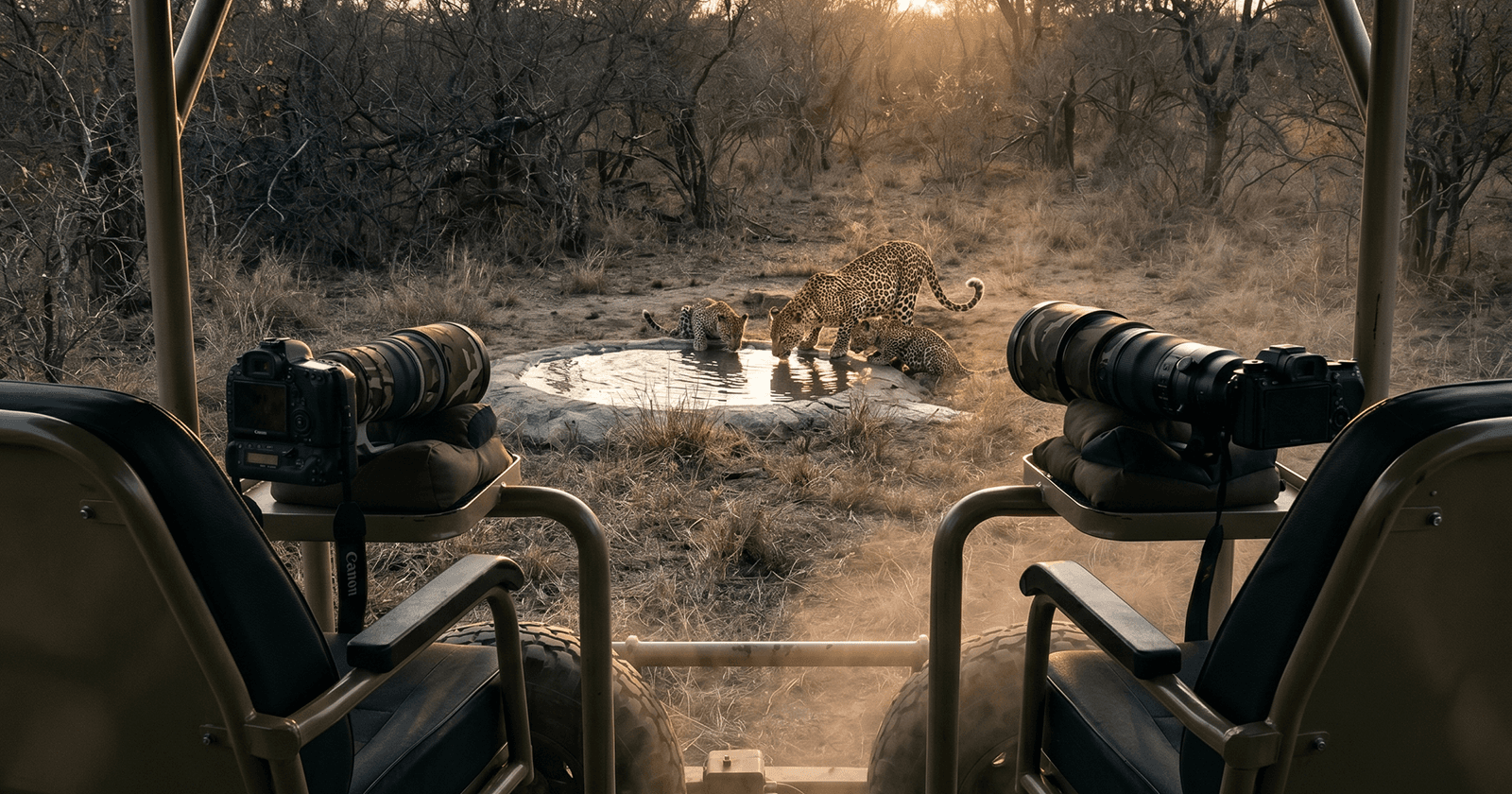 Leopard Hills Photographic Safari Review